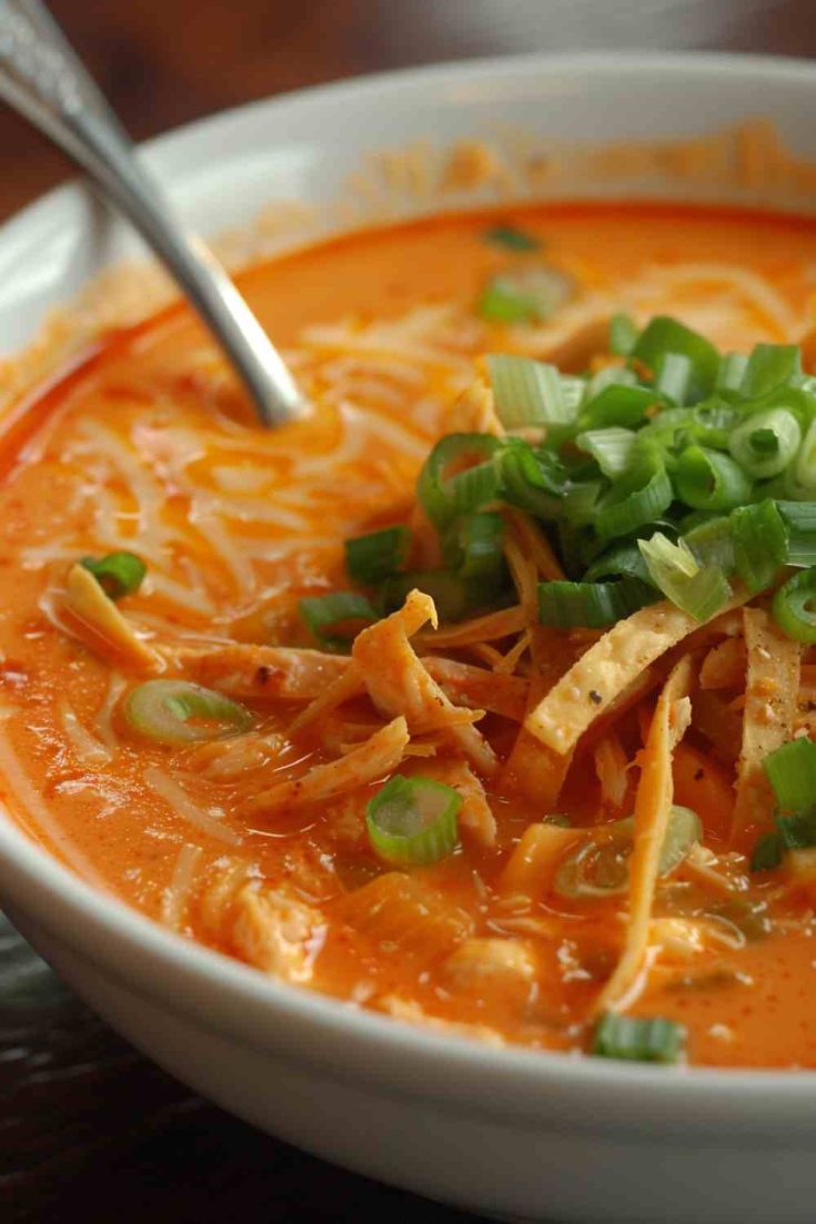 Skinny Chicken Enchilada Soup