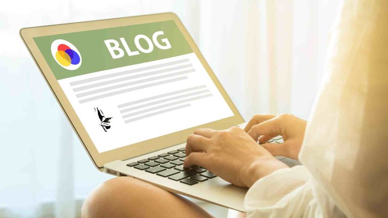 Find Your Food Blog Niche: Expert Tips for Success
