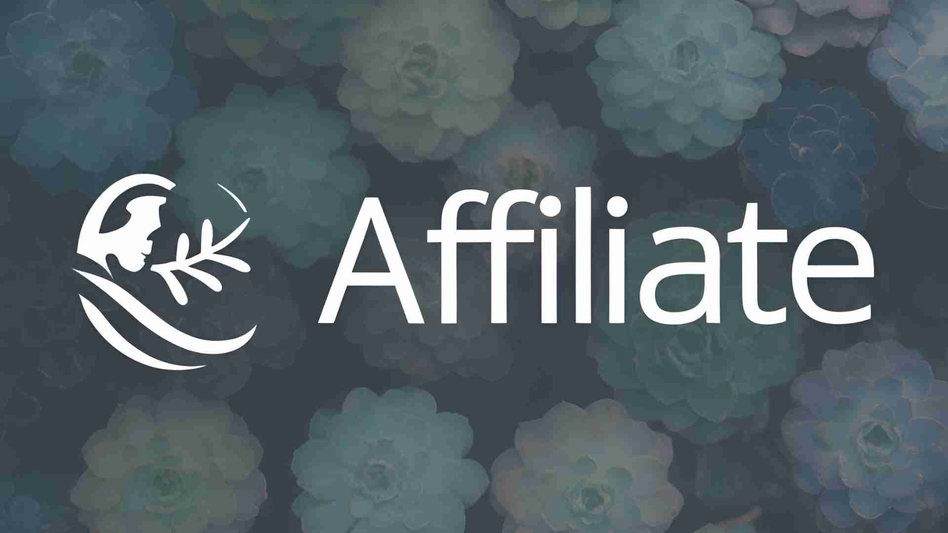 The Best Affiliate Disclosures Guide for Bloggers + Examples