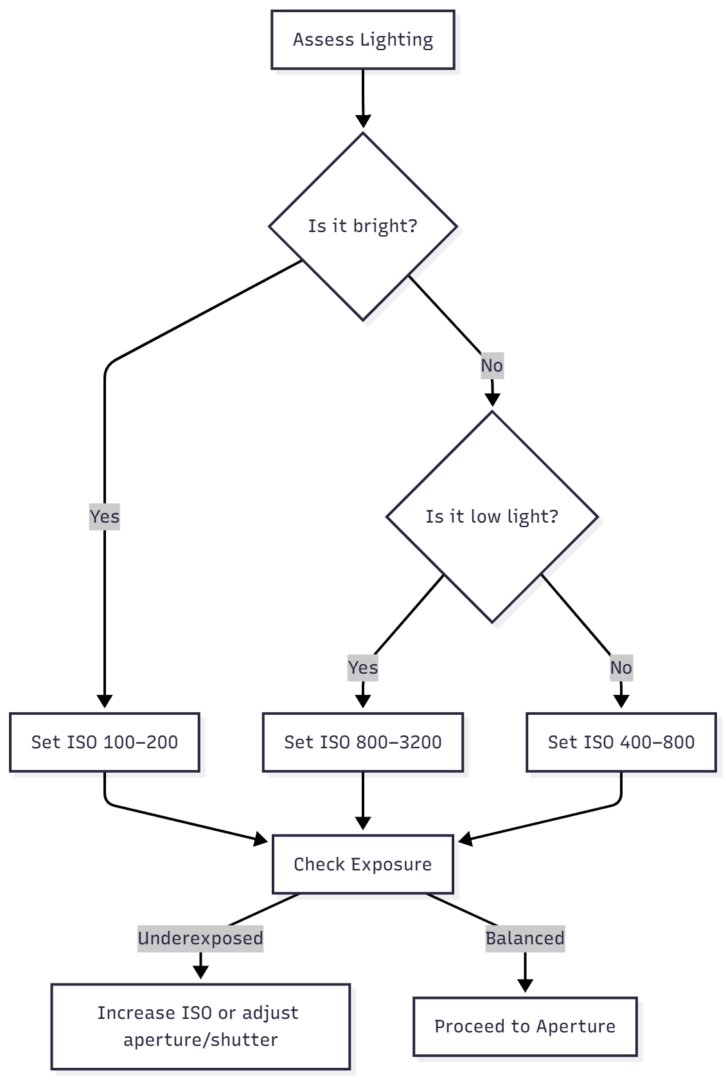 ISO: Controlling Light Sensitivity