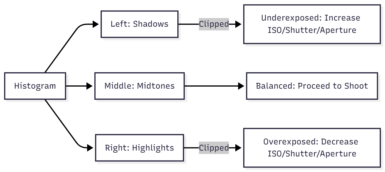 Using the Histogram for Exposure