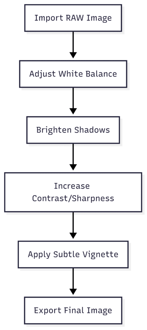 Editing Workflow
